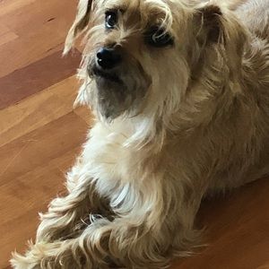 Meet your Posher, Emma